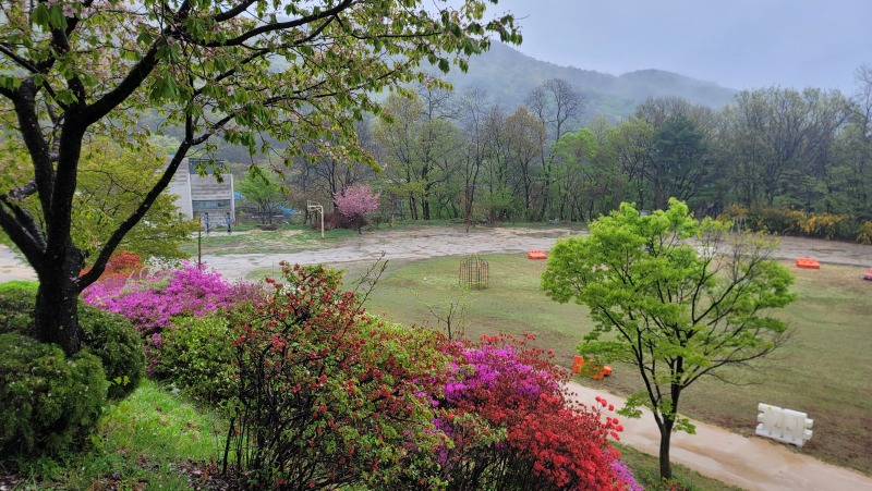 KakaoTalk_20250422_204519331_04.jpg